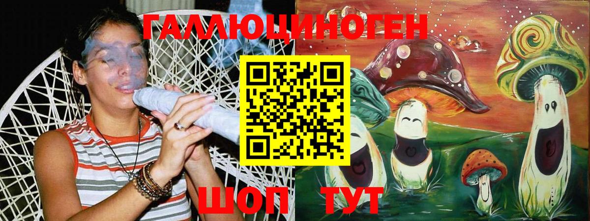 Псилоцибиновые грибы мицелий Тамбов